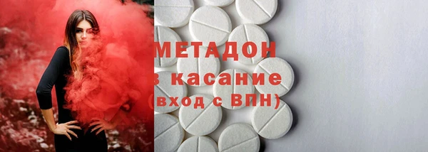 прущие грибы Абаза