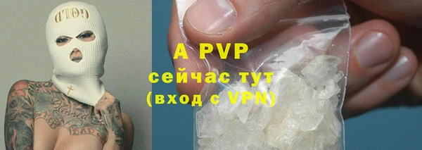 прущие грибы Абаза
