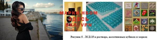 прущие грибы Абаза