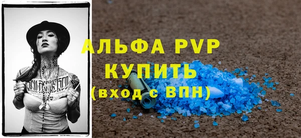 прущие грибы Абаза