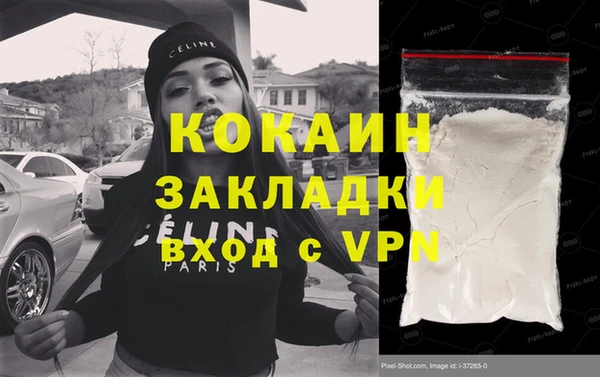 прущие грибы Абаза