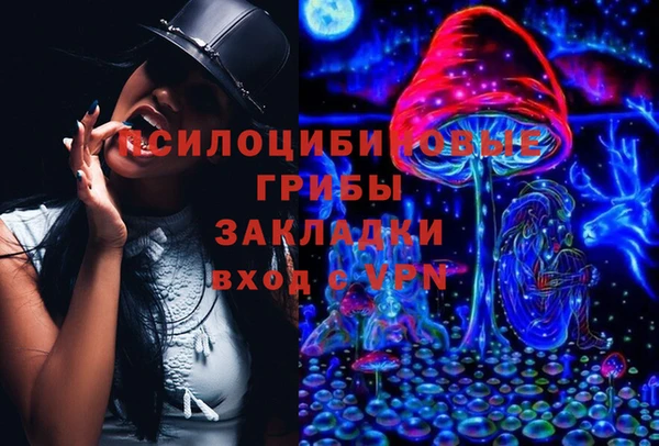 прущие грибы Абаза
