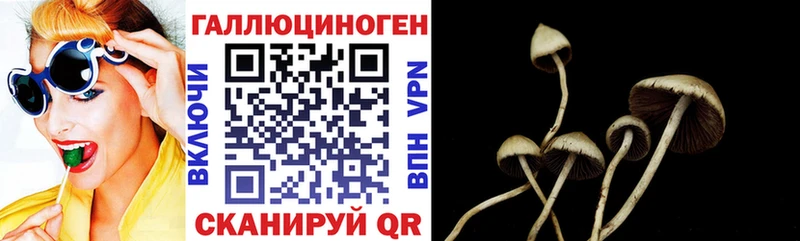 купить наркотик Козловка Псилоцибиновые грибы мухоморы